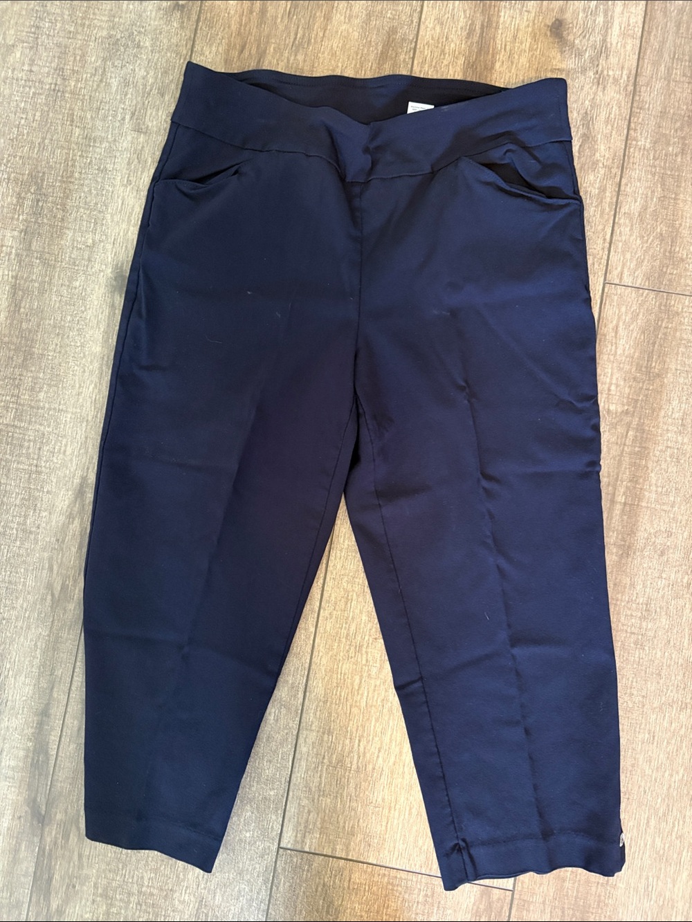 Coral Bay Navy Blue Capris